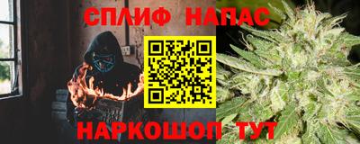 сатива Кулебаки