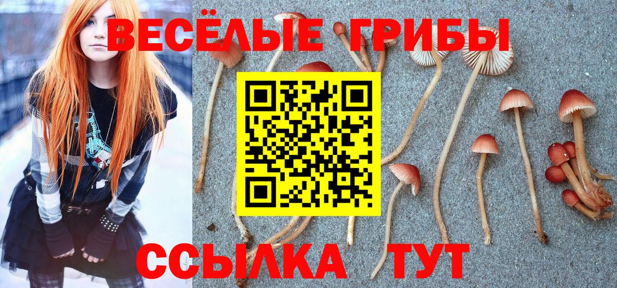 Псилоцибиновые грибы ЛСД Избербаш